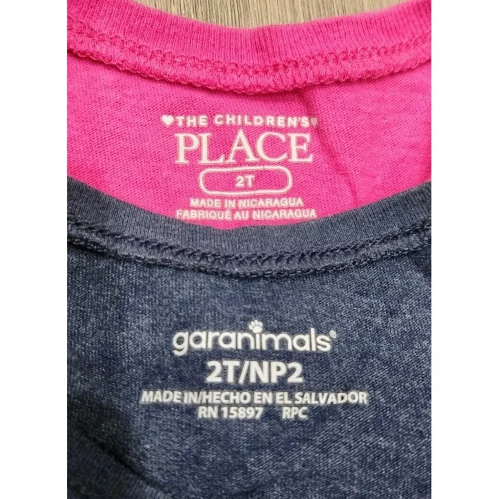 2 Graphic Longsleeve Tshirts Girls Toddler Size 2T Birthday &‎ Little Sister